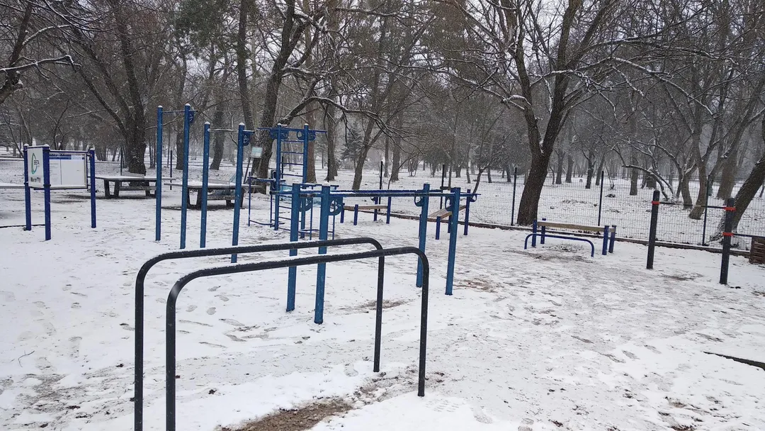 Barras Paralelas en Calisthenics Park at Алея Дружби, Симферополь – foto 8 de 17