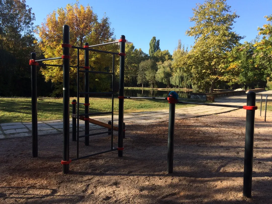 Barras de Mono en Calisthenics Park at Алея Дружби, Симферополь – foto 3 de 17