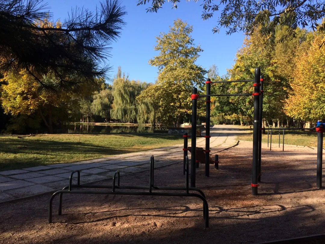 Barras Paralelas en Calisthenics Park at Алея Дружби, Симферополь – foto 2 de 17
