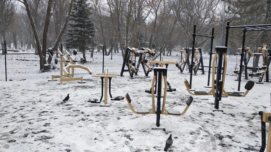 Barras Paralelas en Calisthenics Park at Алея Дружби, Симферополь – foto 14 de 17