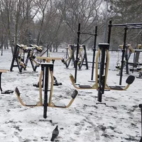 Calisthenics Park at Алея Дружби, Симферополь - thumbnail 14