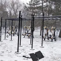 Calisthenics Park at Алея Дружби, Симферополь - thumbnail 17