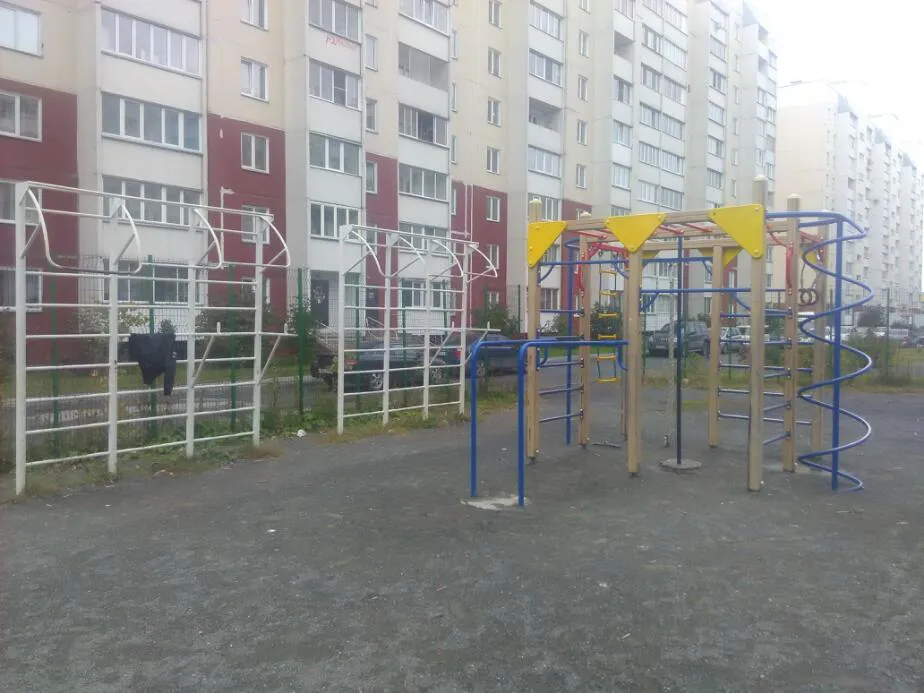 Pull Up Bar at Calisthenics Park at улица Высоцкого, городской округ Новосибирск – photo 1 of 2