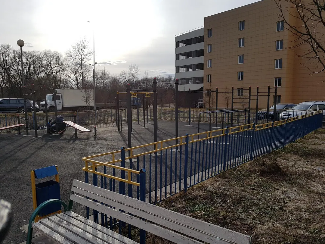 Турнік на майданчику Calisthenics Park at Изюмская улица, Москва – фото 1 з 6