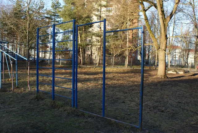 Calisthenics Park at Центральная улица, Шушары
