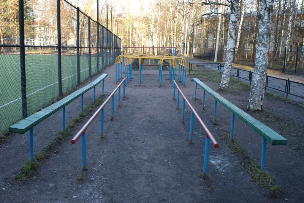 Monkey Bars la Calisthenics Park at Центральная улица, Шушары – fotografia 3 din 6