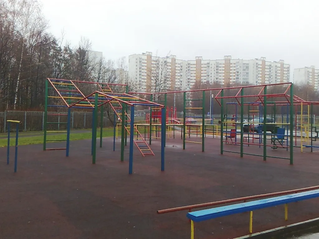 Wall Bars at Calisthenics Park at Чоботовская улица, Москва – photo 4 of 5