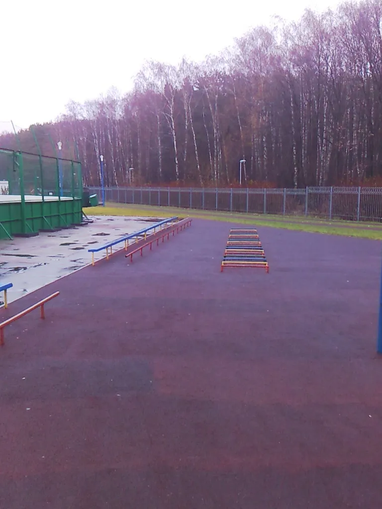 Pull Up Bar at Calisthenics Park at Чоботовская улица, Москва – photo 5 of 5