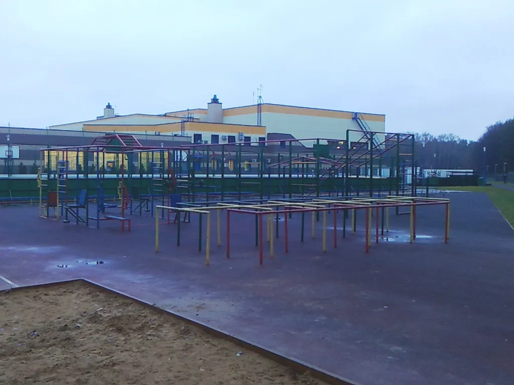 Monkey Bars at Calisthenics Park at Чоботовская улица, Москва – photo 3 of 5