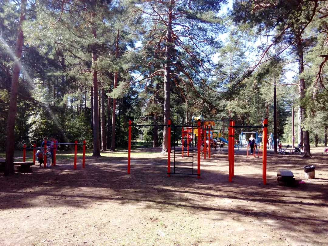 Sbarra per trazioni presso Calisthenics Park at улица Володарского, Дубна – foto 1 di 2