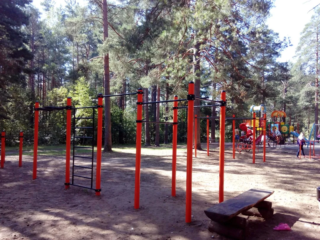 Parallele presso Calisthenics Park at улица Володарского, Дубна – foto 2 di 2