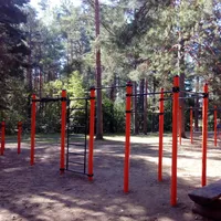Calisthenics Park at улица Володарского, Дубна - thumbnail 2