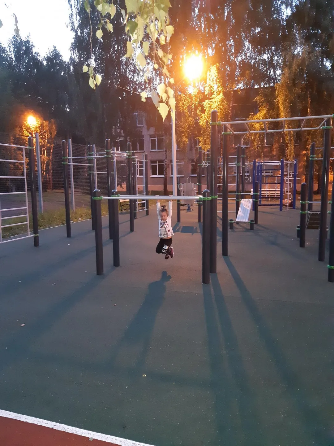Maniglie per piegamenti presso Calisthenics Park at улица Дзержинского, Королёв – foto 2 di 2