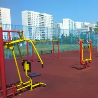 Calisthenics Park at улица Авиаторов, Москва - thumbnail 1