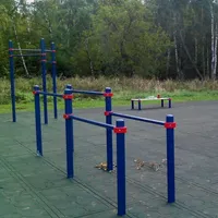 Calisthenics Park at аллея Дорога Жизни, Москва #wp1897 - thumbnail 2