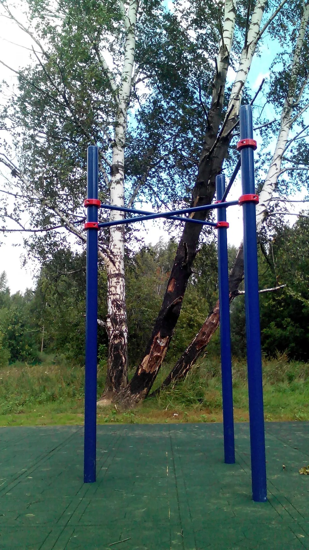 Maniglie per piegamenti presso Calisthenics Park at аллея Дорога Жизни, Москва #wp1897 – foto 6 di 9