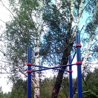 Calisthenics Park at аллея Дорога Жизни, Москва #wp1897 - thumbnail 6