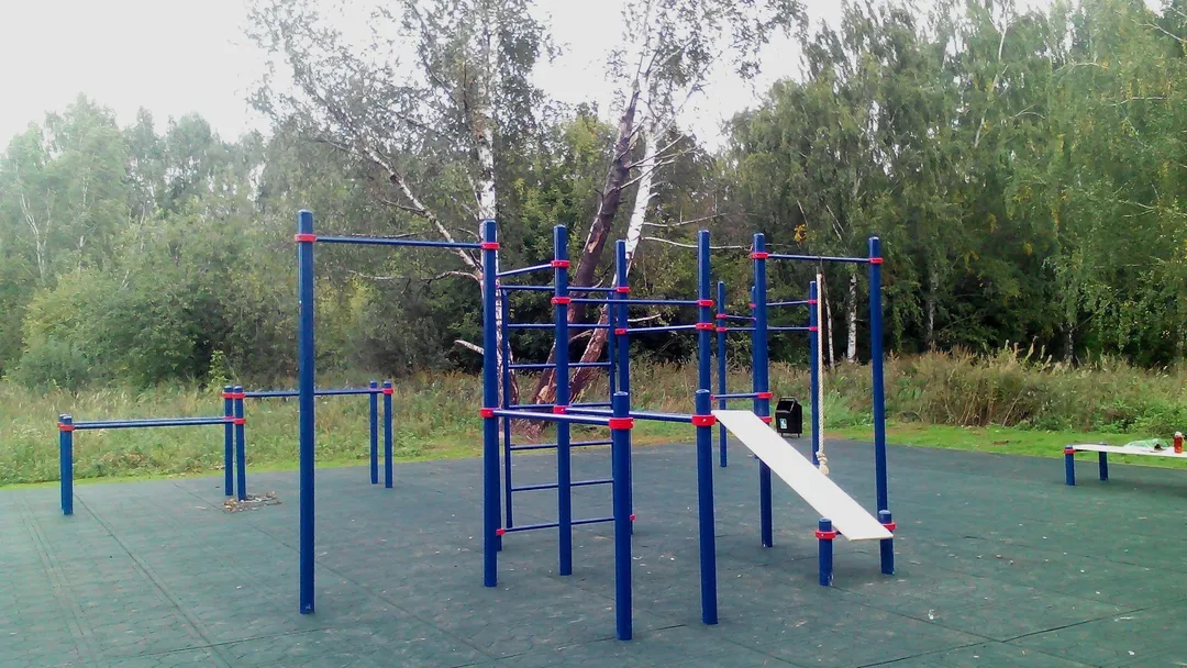 Stazione di arrampicata con corda presso Calisthenics Park at аллея Дорога Жизни, Москва #wp1897 – foto 7 di 9