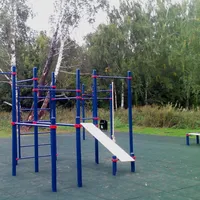 Calisthenics Park at аллея Дорога Жизни, Москва #wp1897 - thumbnail 7