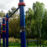 Calisthenics Park at аллея Дорога Жизни, Москва #wp1897 - thumbnail 5