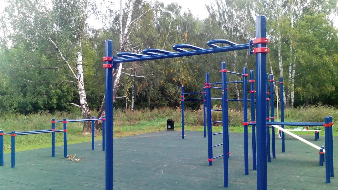 Spalliera presso Calisthenics Park at аллея Дорога Жизни, Москва #wp1897 – foto 4 di 9