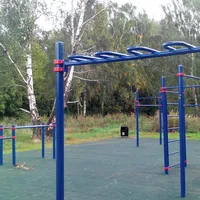Calisthenics Park at аллея Дорога Жизни, Москва #wp1897 - thumbnail 4