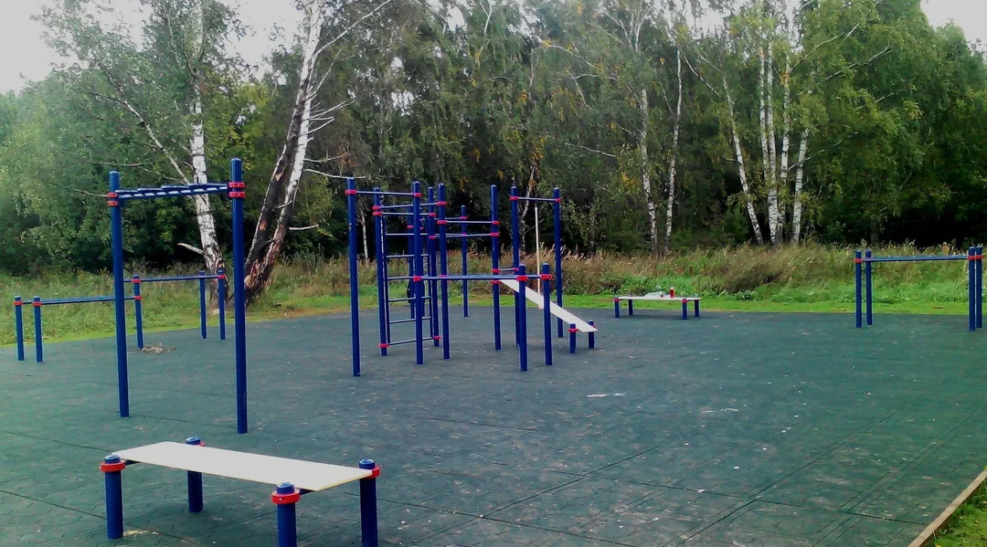 Sbarra per trazioni presso Calisthenics Park at аллея Дорога Жизни, Москва #wp1897 – foto 1 di 9