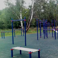 Calisthenics Park at аллея Дорога Жизни, Москва #wp1897 - thumbnail 1