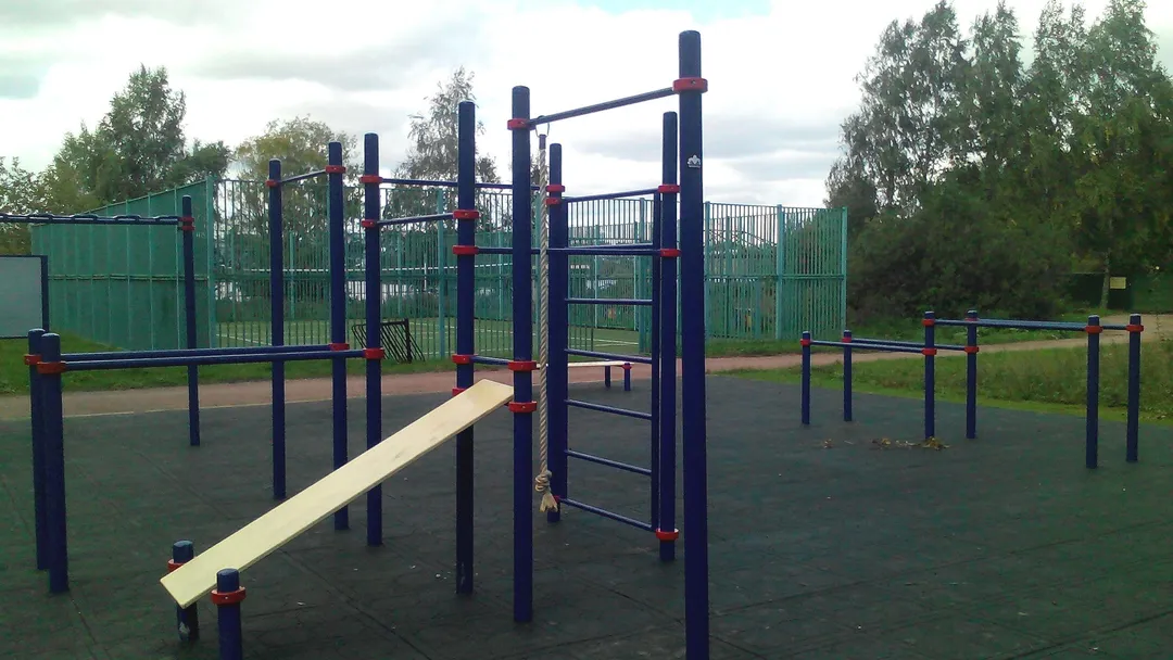 Monkey bar presso Calisthenics Park at аллея Дорога Жизни, Москва #wp1897 – foto 3 di 9