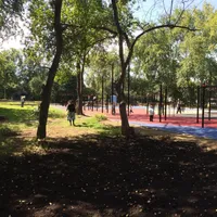 Calisthenics Park at Калининец, Екатеринбург - thumbnail 6