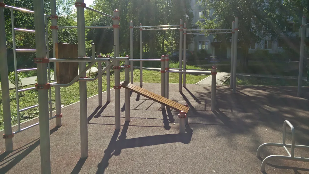 Monkey bar presso Calisthenics Park at Колхозная улица, Пушкино – foto 3 di 3