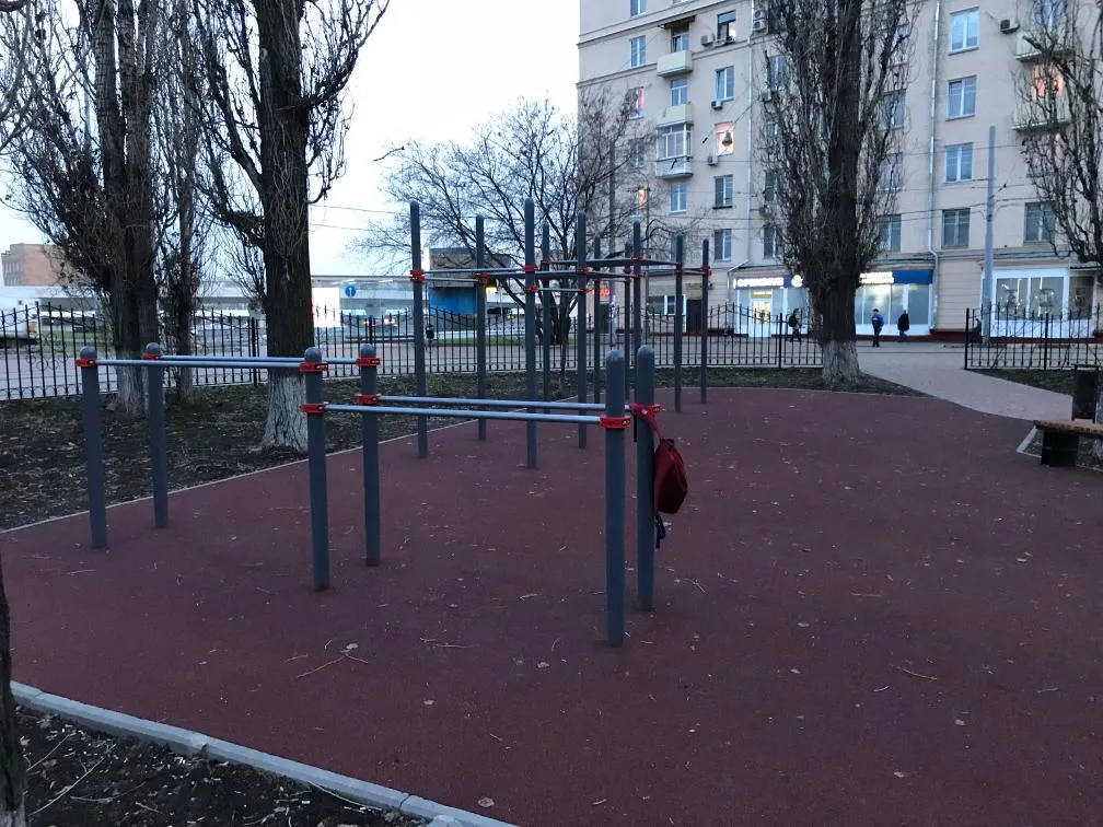Monkey Bars la Calisthenics Park at Южнопортовая улица, Москва – fotografia 3 din 3