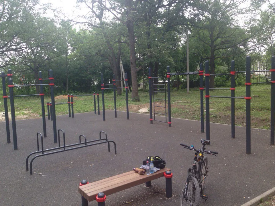 Рукоход на площадке Calisthenics Park at улица Ленина, Щёкино – фото 3 из 3