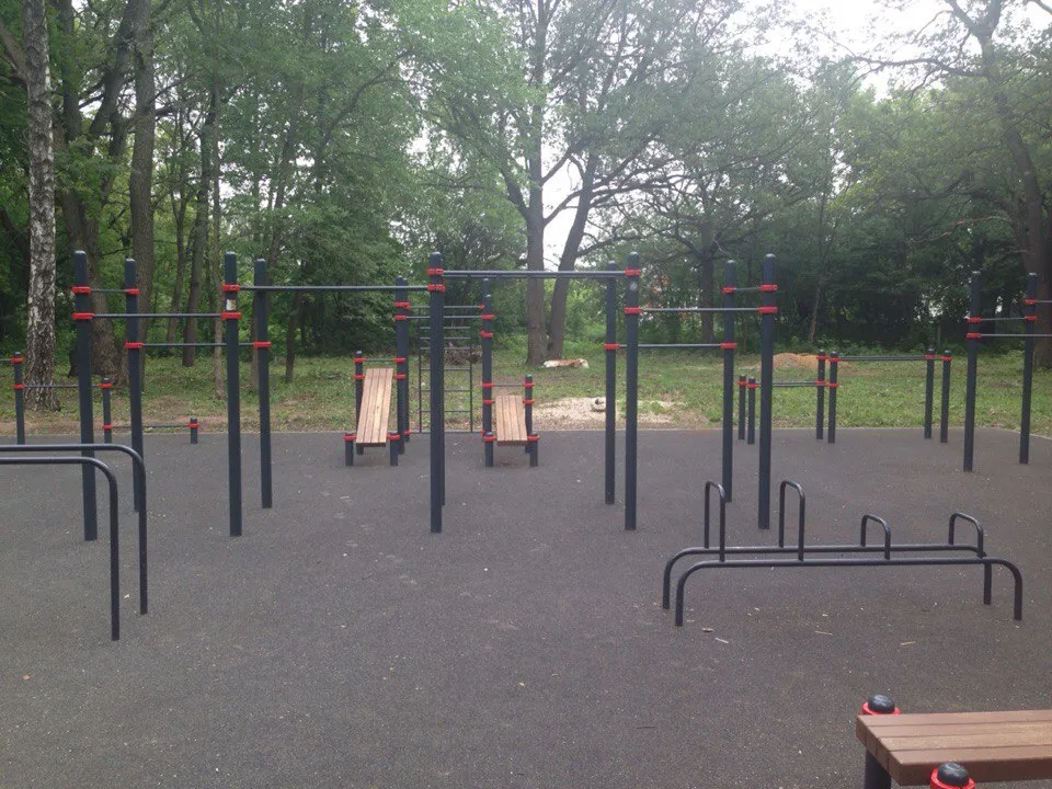 Брусья на площадке Calisthenics Park at улица Ленина, Щёкино – фото 2 из 3