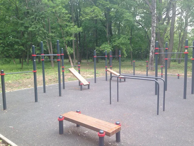 Calisthenics Park at улица Ленина, Щёкино