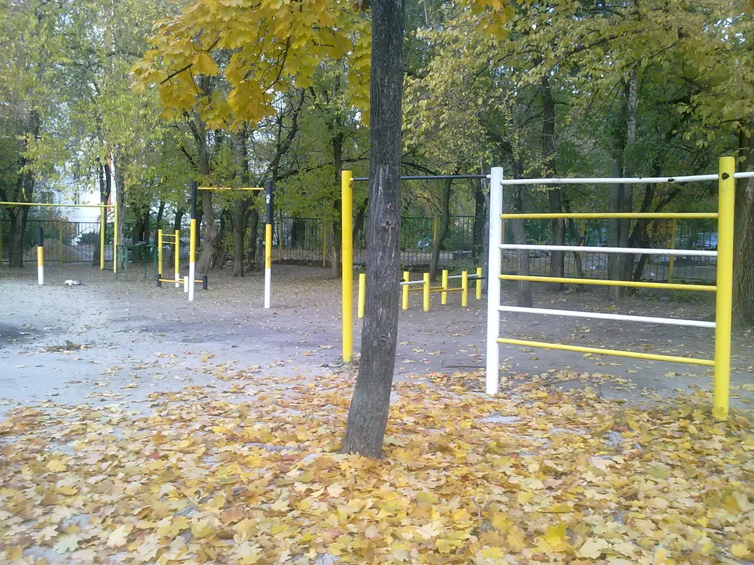 Sbarra per trazioni presso Calisthenics Park at Южно-Моравская улица, Воронеж – foto 1 di 6