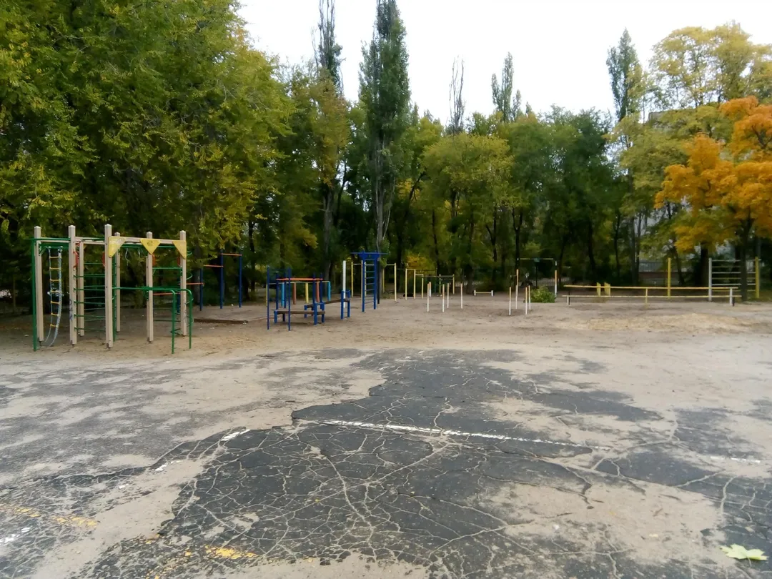 Monkey bar presso Calisthenics Park at Южно-Моравская улица, Воронеж – foto 3 di 6