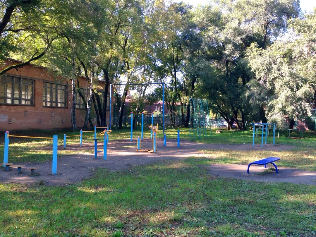 Sbarra per trazioni presso Calisthenics Park at Маршрут Ритм Секция, Владивосток – foto 1 di 1