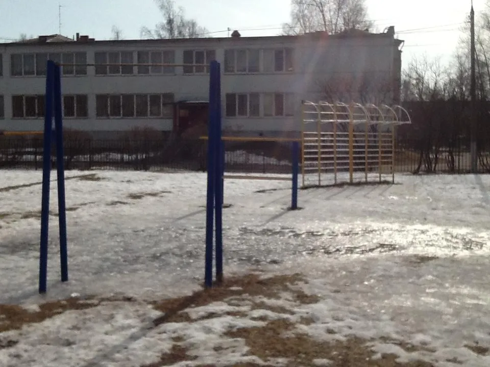 Шведська стінка на майданчику Calisthenics Park at Школьная улица, Шатура – фото 3 з 3