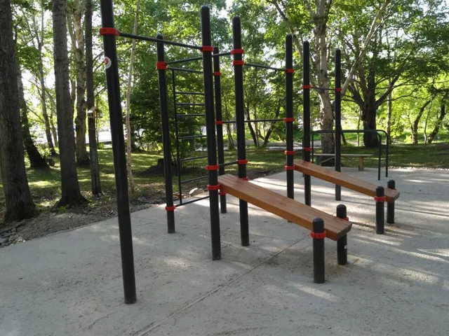 Calisthenics Park at Мост влюблённых, Южно-Сахалинск