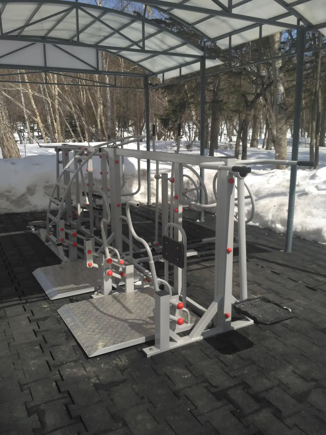 Wall Bars at Calisthenics Park at Мост влюблённых, Южно-Сахалинск – photo 4 of 6