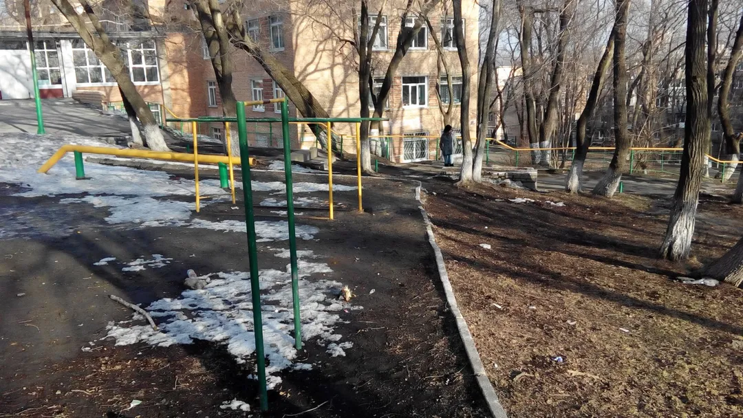 Pull Up Bar at Calisthenics Park at Узбекская улица, Владивосток – photo 1 of 4