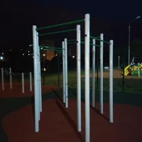 Calisthenics Park at Озёрная аллея, Зеленоград - thumbnail 4