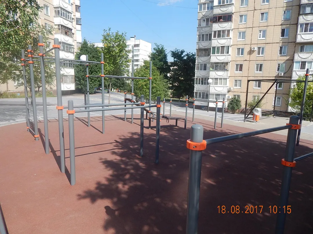 Monkey bar presso Calisthenics Park at улица Дегтярёва, Белгород – foto 3 di 3