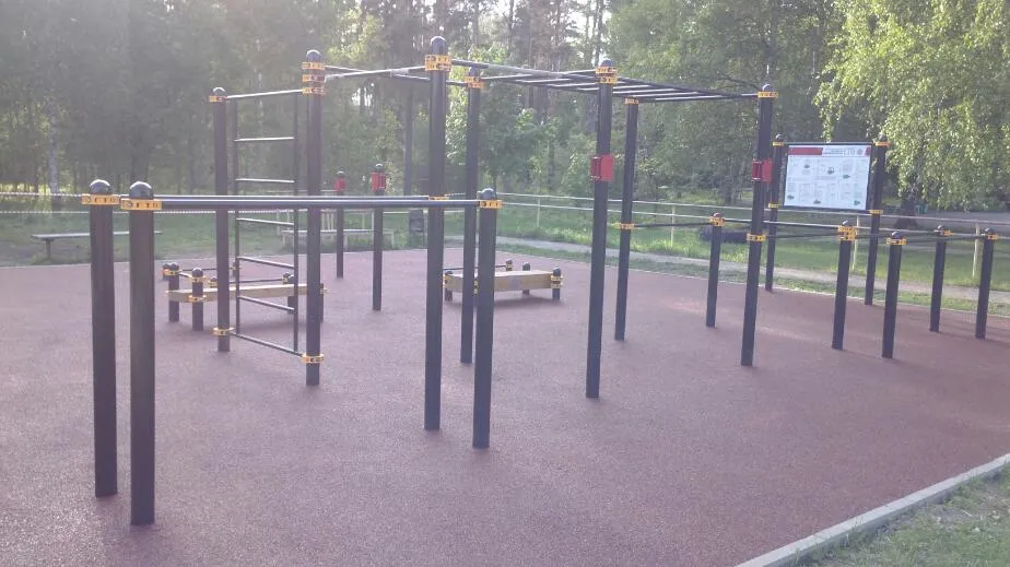 Pull Up Bar at Calisthenics Park at Главная просека, Черноголовка – photo 1 of 4