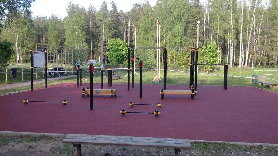 Monkey Bars at Calisthenics Park at Главная просека, Черноголовка – photo 3 of 4