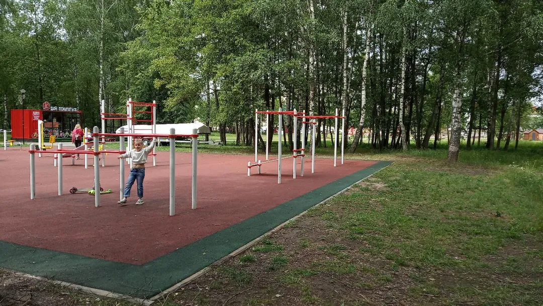 Barres de singe à Calisthenics Park at аллея Славы, Егорьевск – photo 4 sur 8