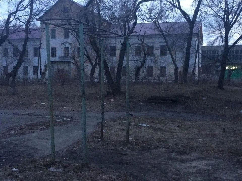 Monkey Bars at Calisthenics Park at ulitsa Likhachyova, Voronezh – photo 2 of 2