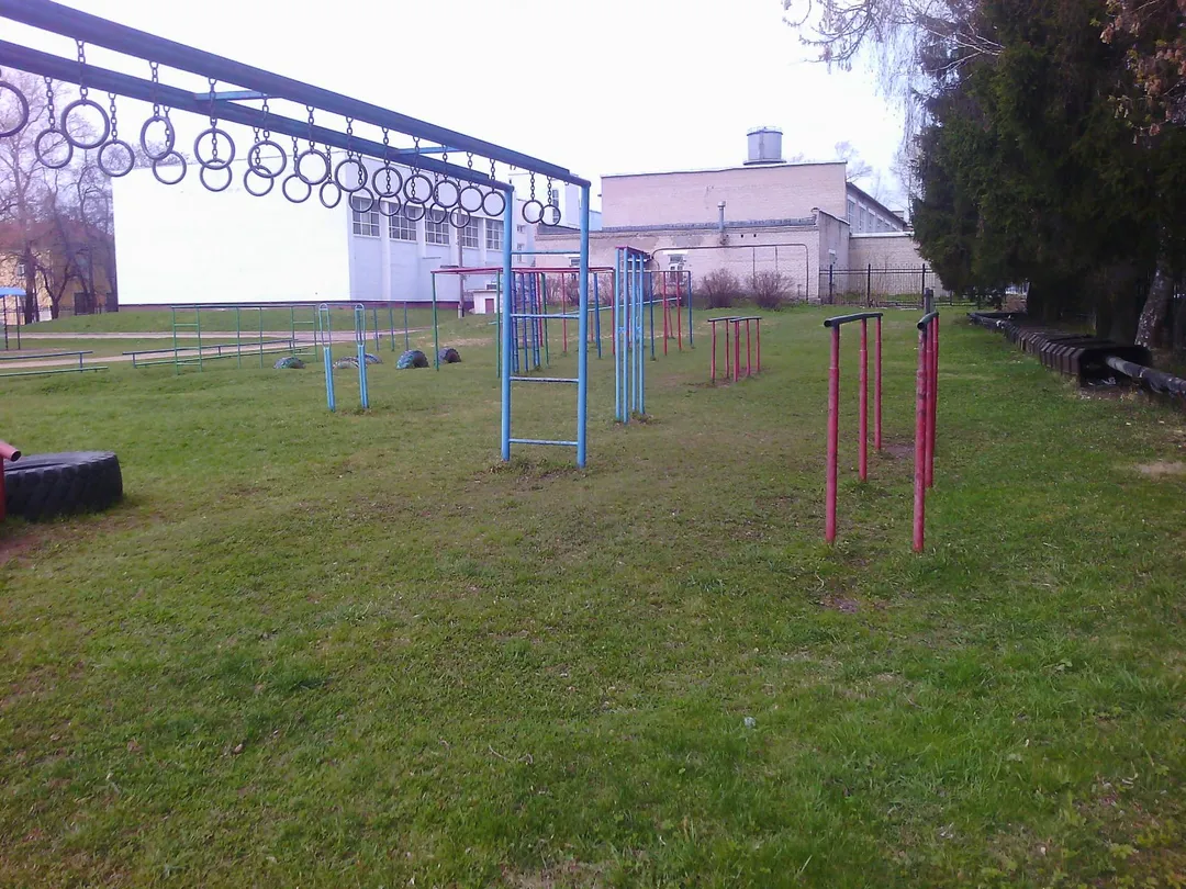 Spalliera presso Calisthenics Park at МБОУ ДОД СДЮСШОР "Юность", Торжок #wp1935 – foto 4 di 4