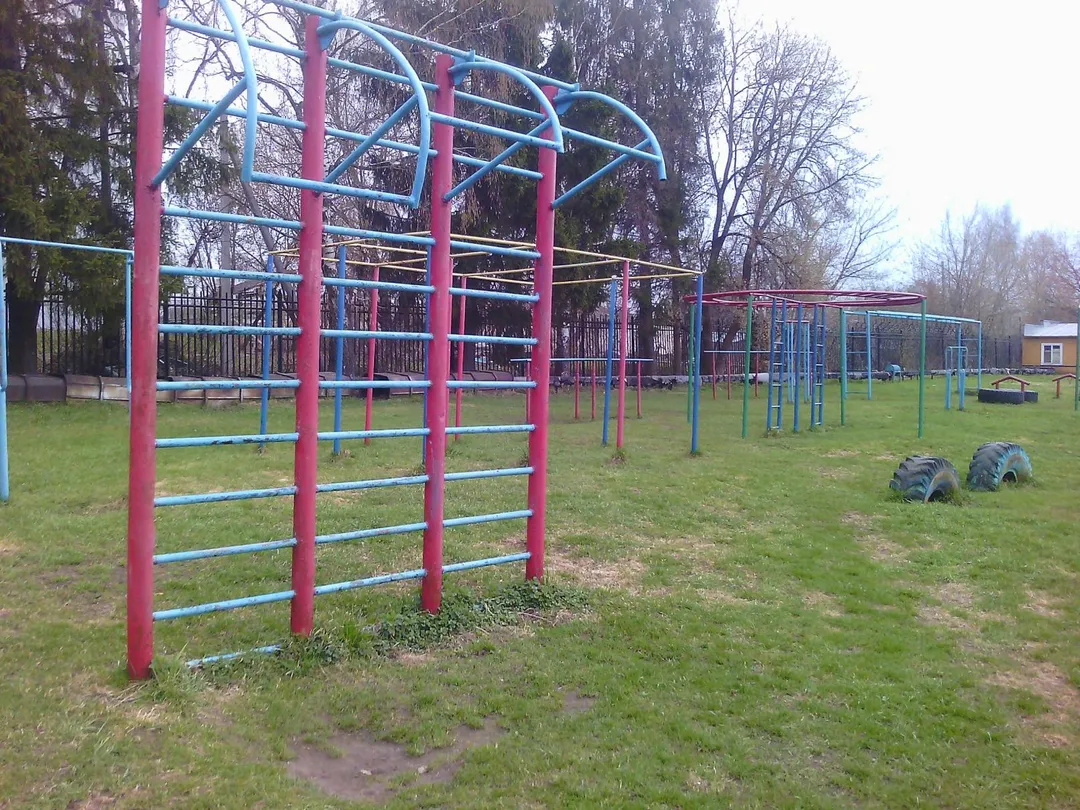Monkey bar presso Calisthenics Park at МБОУ ДОД СДЮСШОР "Юность", Торжок #wp1935 – foto 3 di 4